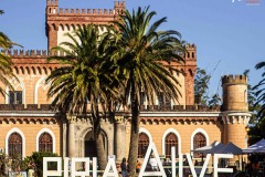 1.-...b-Piria-Alive2020