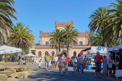 IMG_0471-A